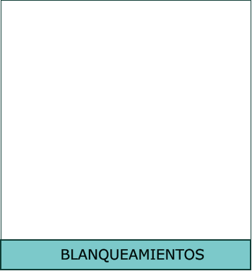 BLANQUEAMIENTOS