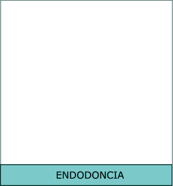 ENDODONCIA