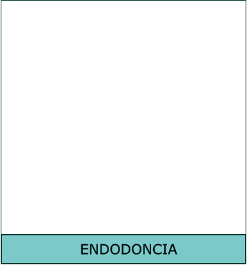 ENDODONCIA