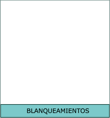 BLANQUEAMIENTOS